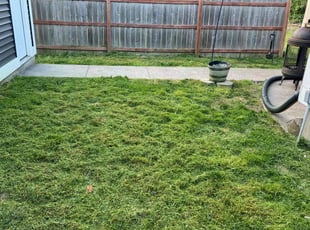 Jasetin M.'s Long Grass Cleanup service result