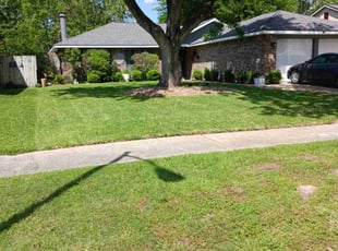 Ann M.'s lawn maintenance service result