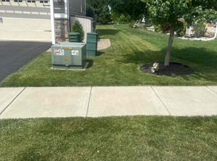 Todd L.'s lawn care service result