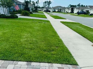 Stanley E.'s grass cutting service result