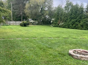 Charles L.'s turf maintenance service result