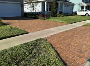 Rose I.'s lawn maintenance service result