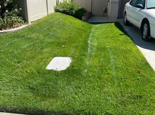 Victoria M.'s grass cutting service result