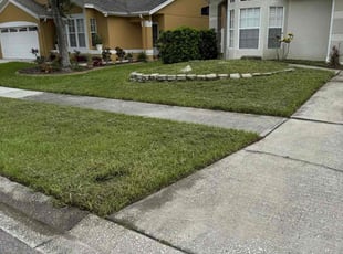 Mark V.'s turf care service result