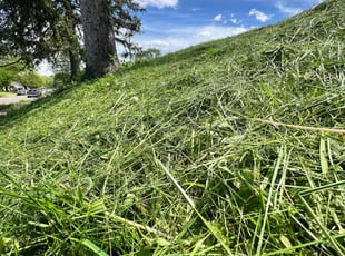 Gary W.'s grass cutting service result