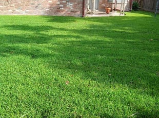 Jason W.'s Bag Clippings service result