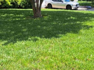 Kathy N.'s lawn care service result