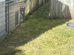 Wendy A.'s lawn service service result