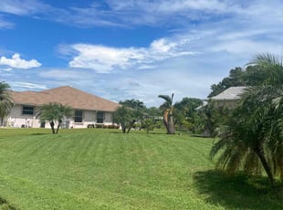 Monique K.'s lawn maintenance service result