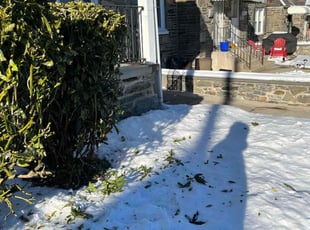 Tom A.'s Bush Trimming service result