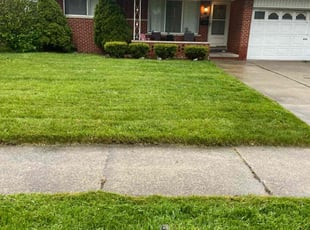 William G.'s grass cutting service result