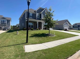 Sandra M.'s grass cutting service result