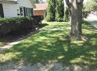 Craig S.'s lawn care service result