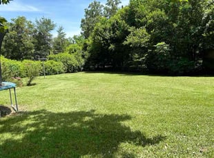 Taylor S.'s lawn maintenance service result