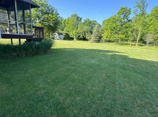 Karen B.'s turf maintenance service result