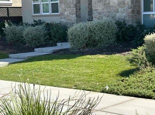 Farid S.'s lawn service service result