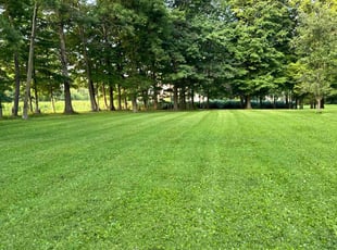 Shane H.'s turf maintenance service result