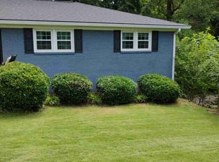 Courtney O.'s Bush Trimming service result