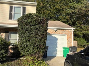 Jerri P.'s Bush Trimming service result