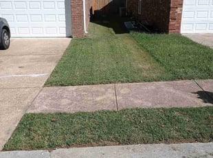 Melanie W.'s Flower Bed Weeding service result
