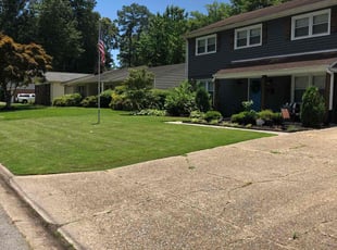Andrew M.'s Flower Bed Weeding service result
