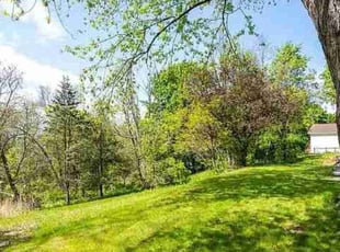 Sarah C.'s lawn maintenance service result