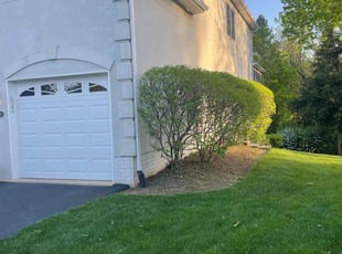 Lori F.'s Bush Trimming service result