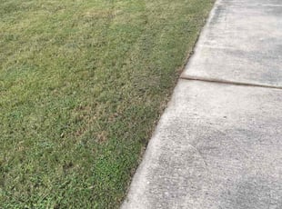 Stephen C.'s turf maintenance service result