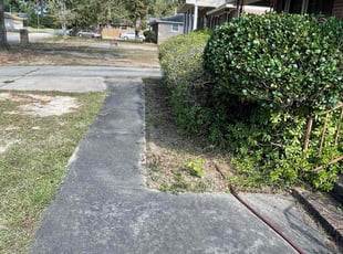 Freddy G.'s Bush Trimming service result