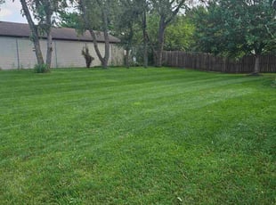 Alyssa B.'s lawn care services service result