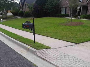 Quinlan G.'s grass cutting service result