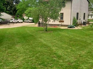 Scott B.'s turf maintenance service result