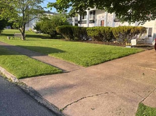 Pamela H.'s grass cutting service result