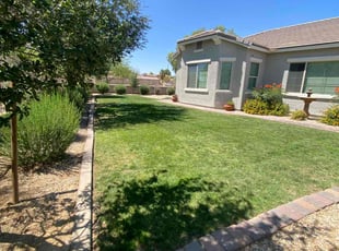 Rodney J.'s lawn care service result