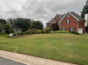 Carlos M.'s lawn care services service result