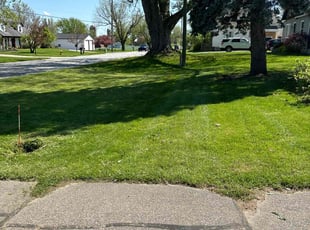 Peggy D.'s lawn care service result