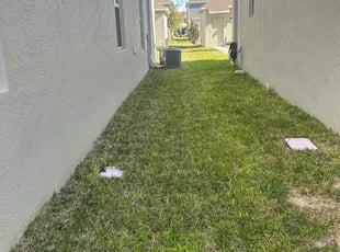 Joan P.'s turf care service result