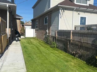 Alexis B.'s Long Grass Cleanup service result