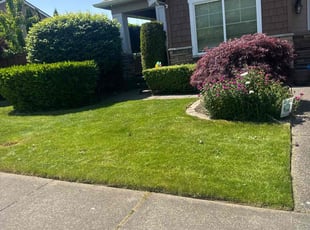 Vasudev M.'s residential landscaping service result