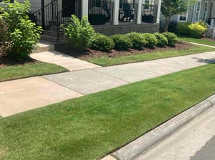 Kristin D.'s grass cutting service result