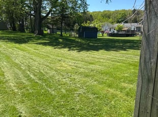 Ross S.'s lawn service service result