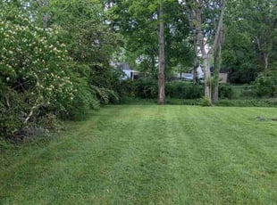 William L.'s lawn service service result