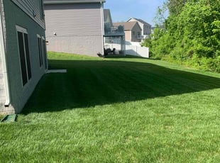 Paula H.'s gardening service service result