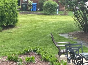 Danielle V.'s lawn service service result