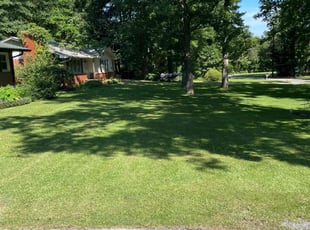 Kouri G.'s lawn care service result