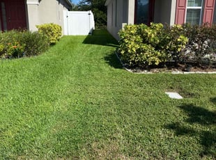 Emily M.'s turf maintenance service result