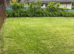 Kelly S.'s lawn service service result