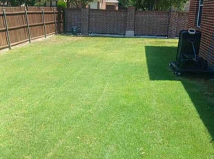 Troy M.'s turf maintenance service result