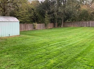 Samuel P.'s landscaping services service result