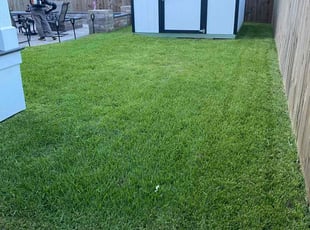 Jasmine R.'s turf maintenance service result